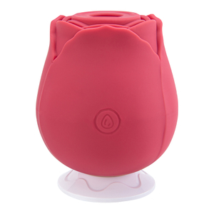 Elektrischer Rose Toys Vibrator, Sexspielzeug f&uuml;r Frauen, wiederaufladbar, 3 Frequenzen, 10 Geschwindigkeiten f&uuml;r G-Punkt-Stimulation