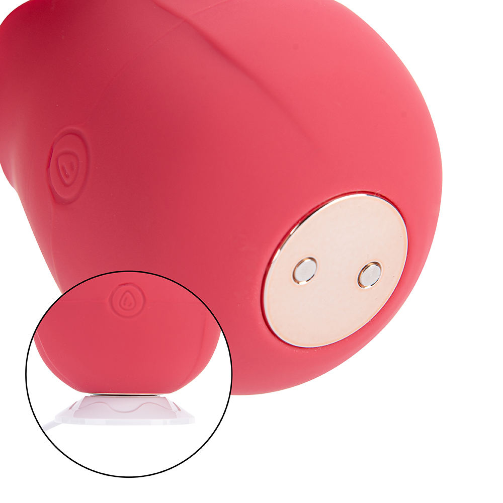 Elektrischer Rose Toys Vibrator, Sexspielzeug f&uuml;r Frauen, wiederaufladbar, 3 Frequenzen, 10 Geschwindigkeiten f&uuml;r G-Punkt-Stimulation